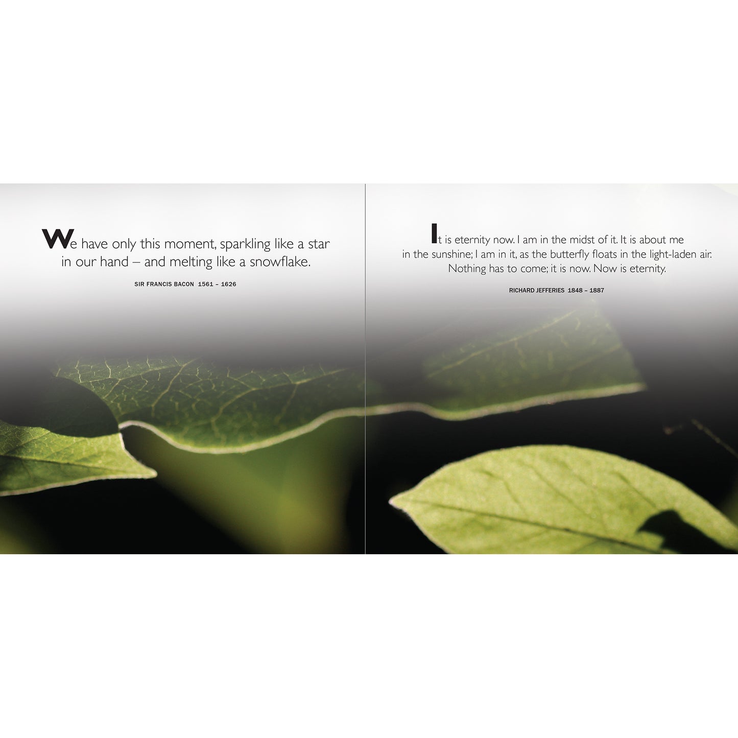 Being in the Now - Reflections on Mindfulness