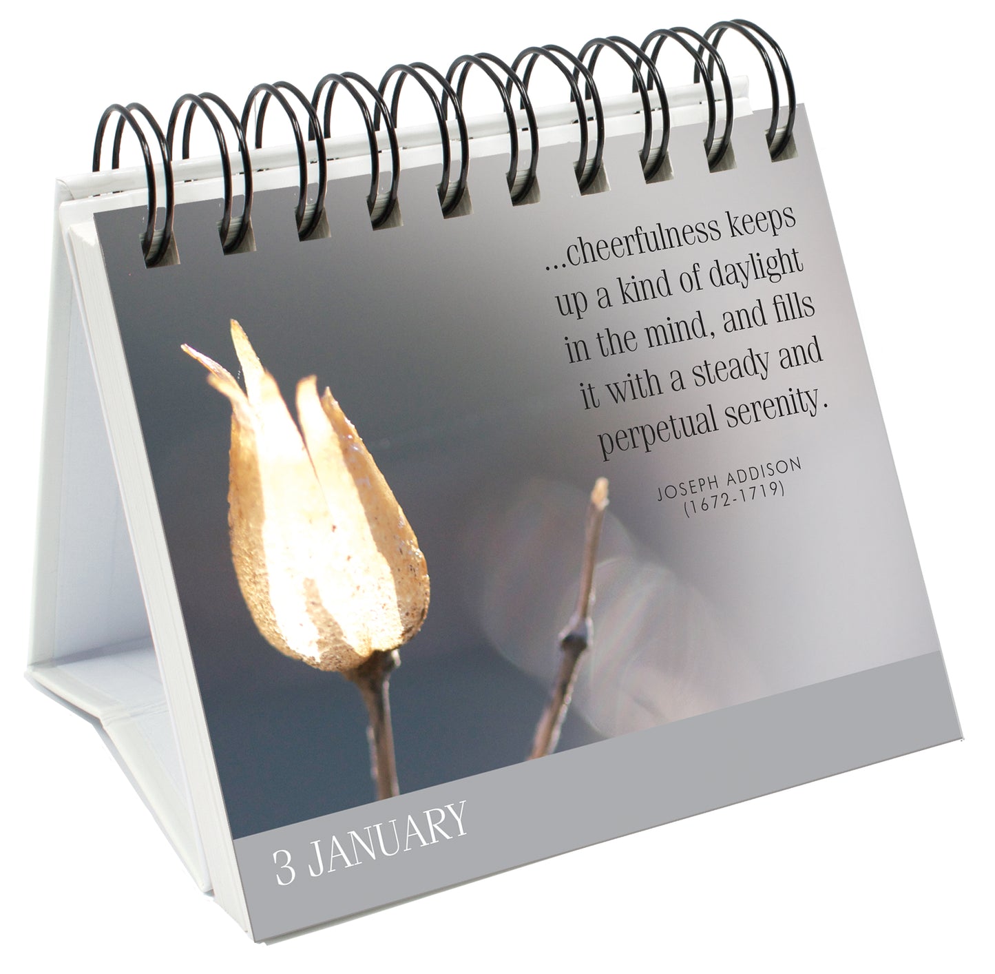 365 Calm Days - A peaceful thought for every day