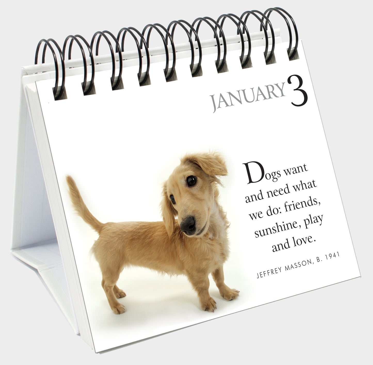 365 Days with my Faithful Dog