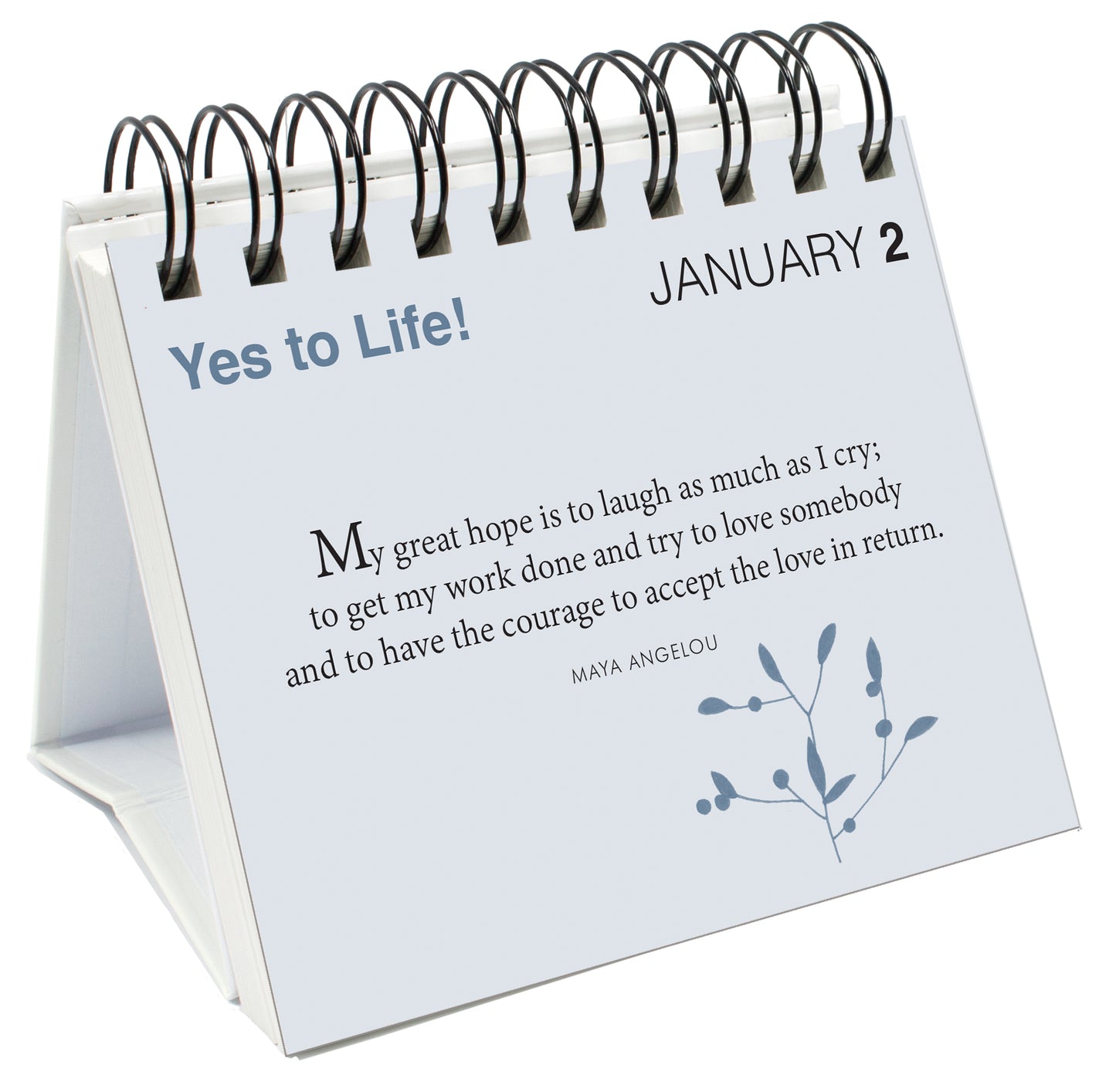 365 Yes to Life! - A positive thought for each day
