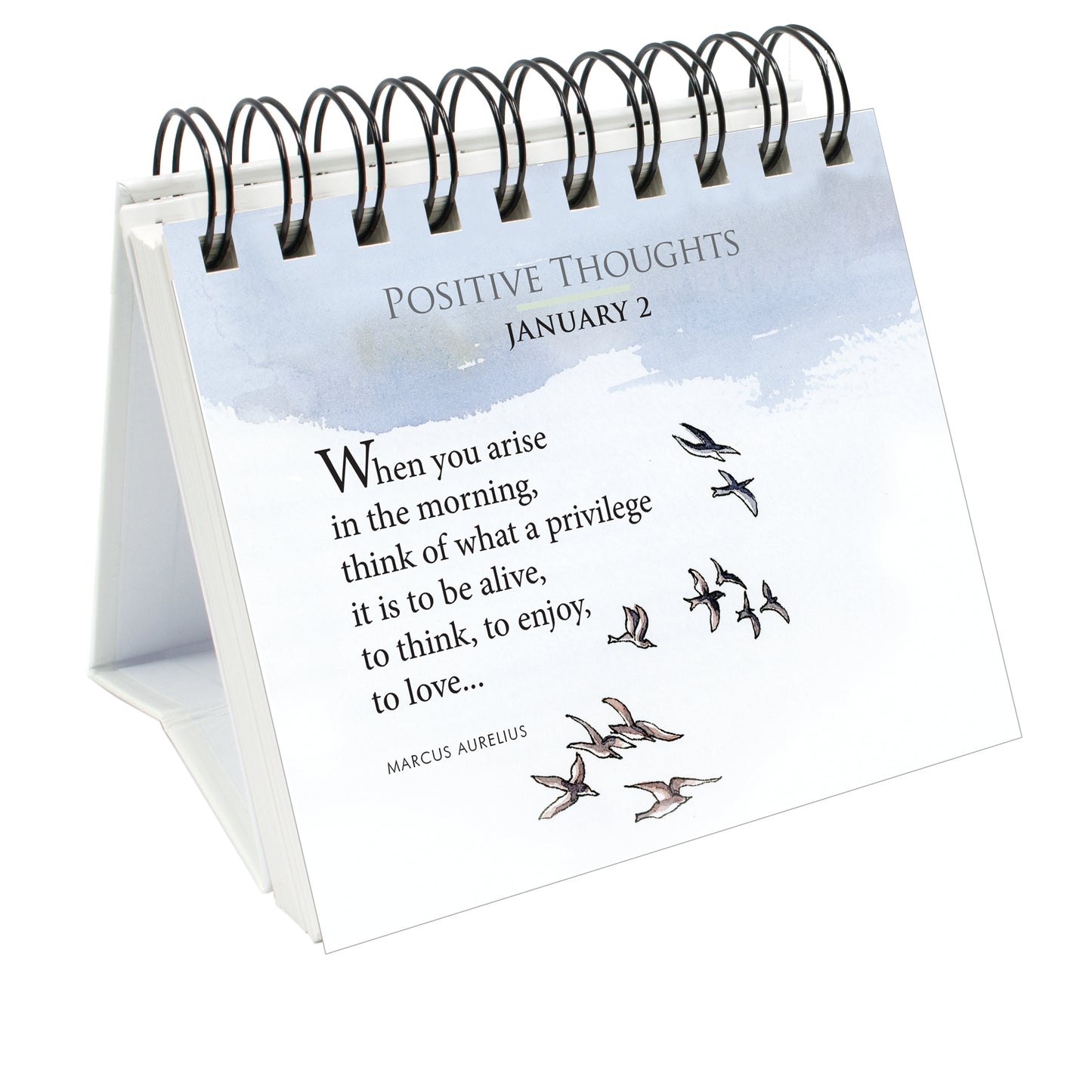365 Positive Thoughts - An optimistic thought for every day
