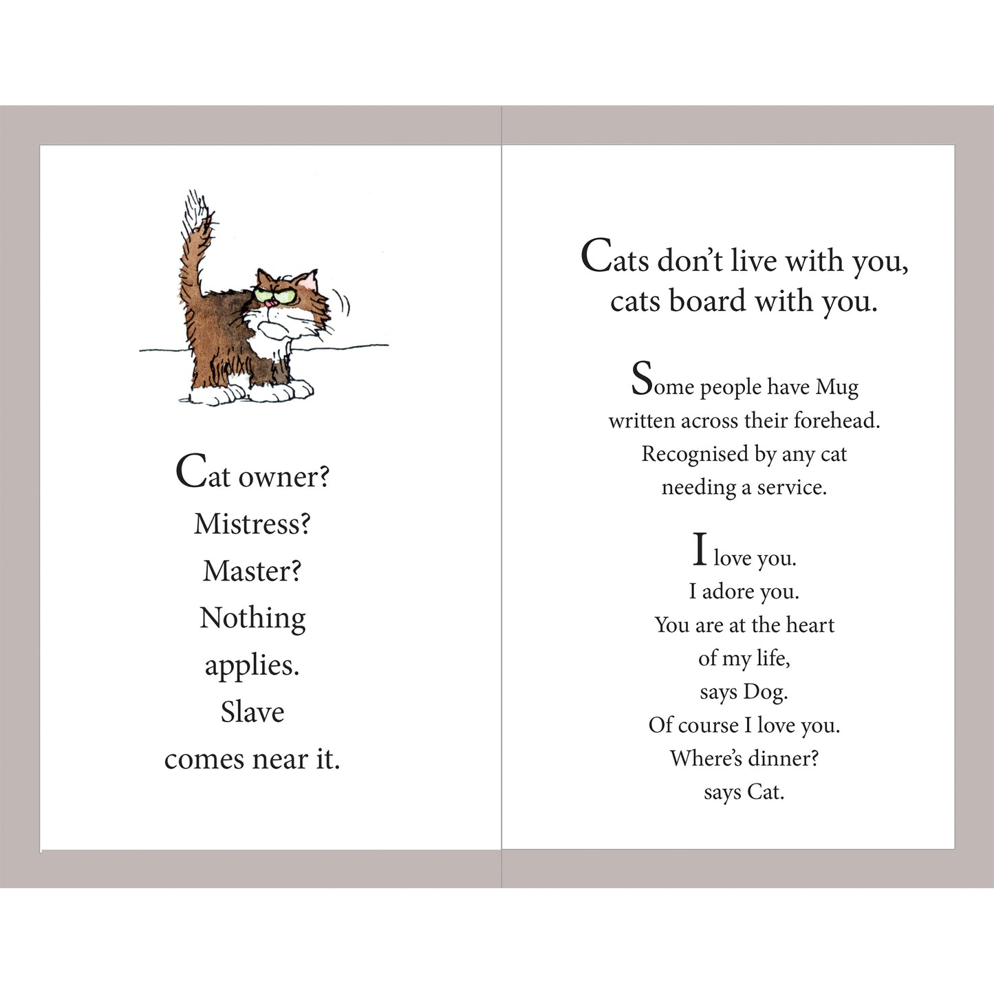 Cat Jokes