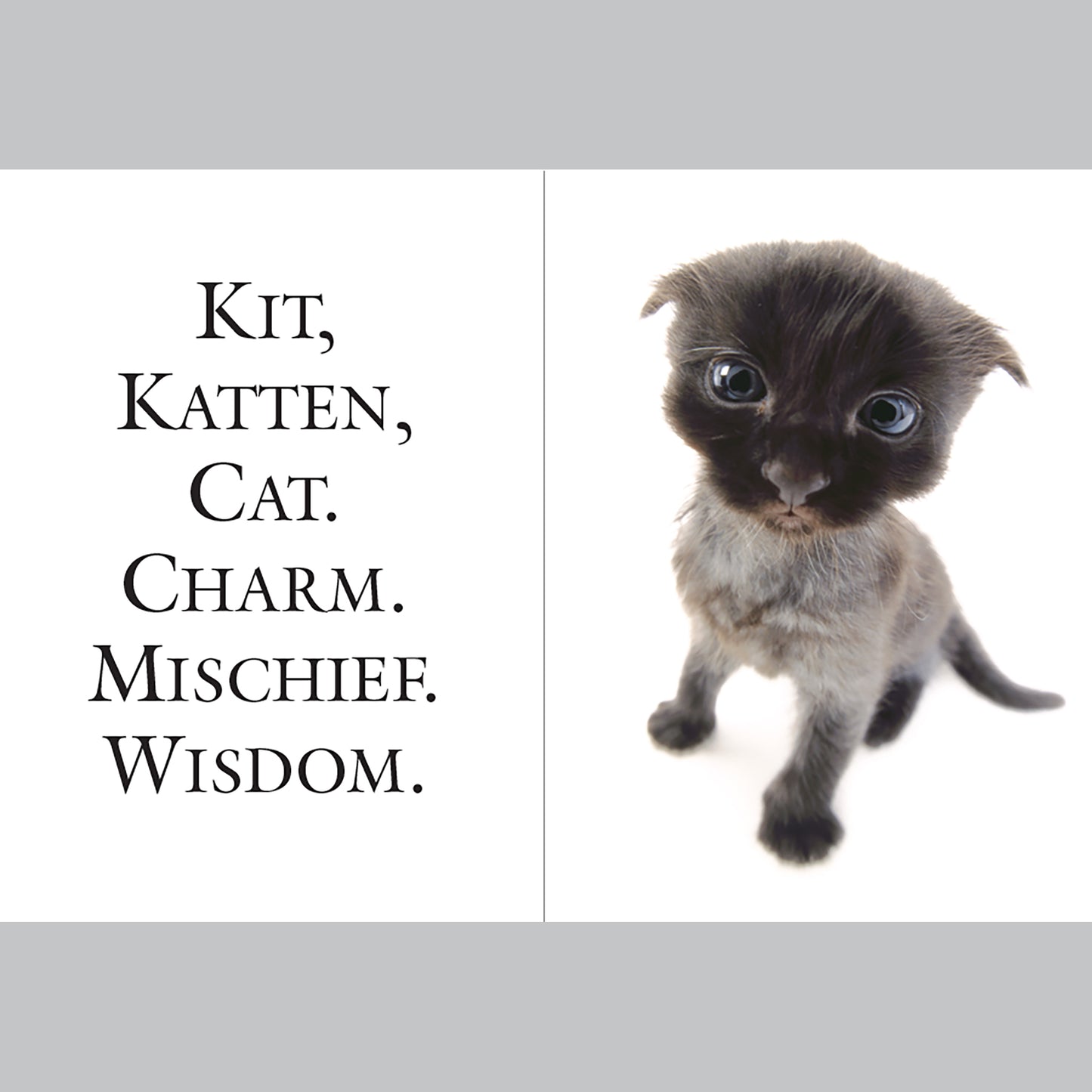 Love Cats