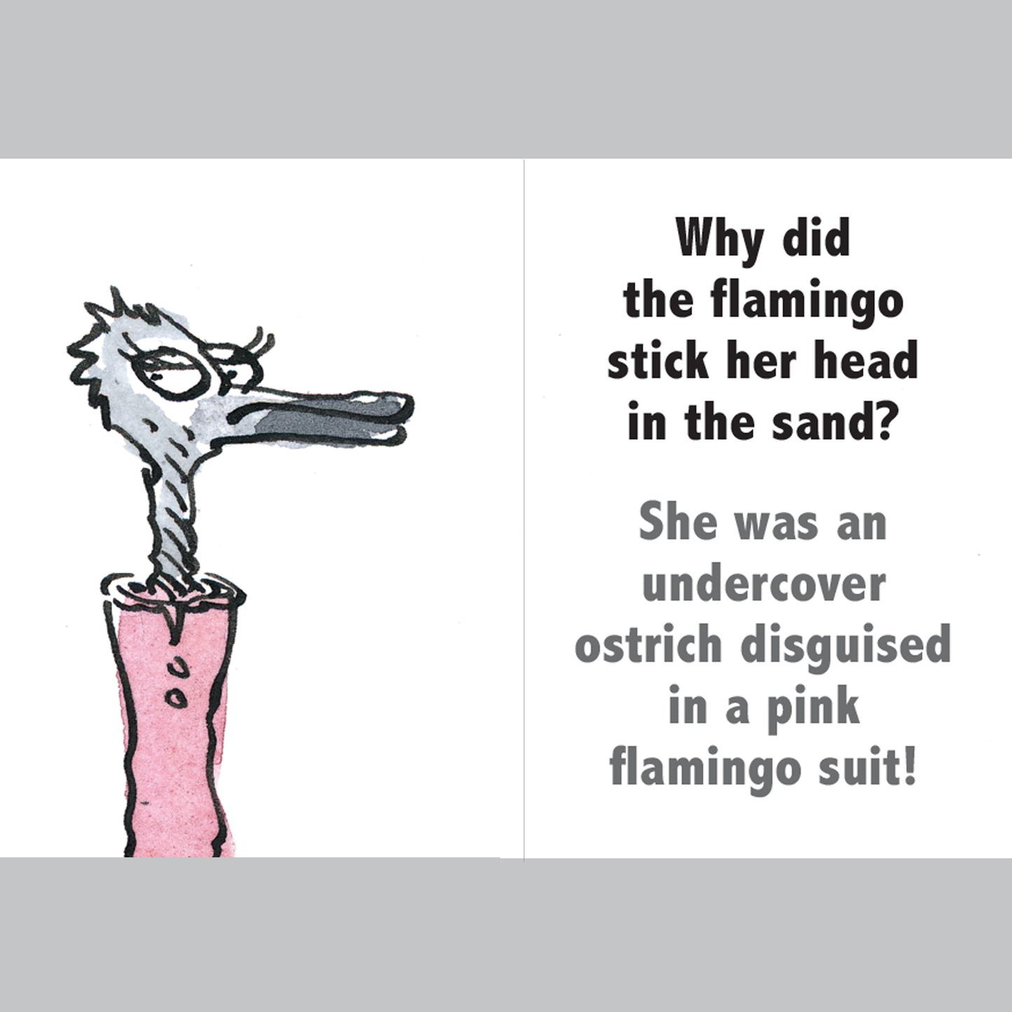 Silly Jokes