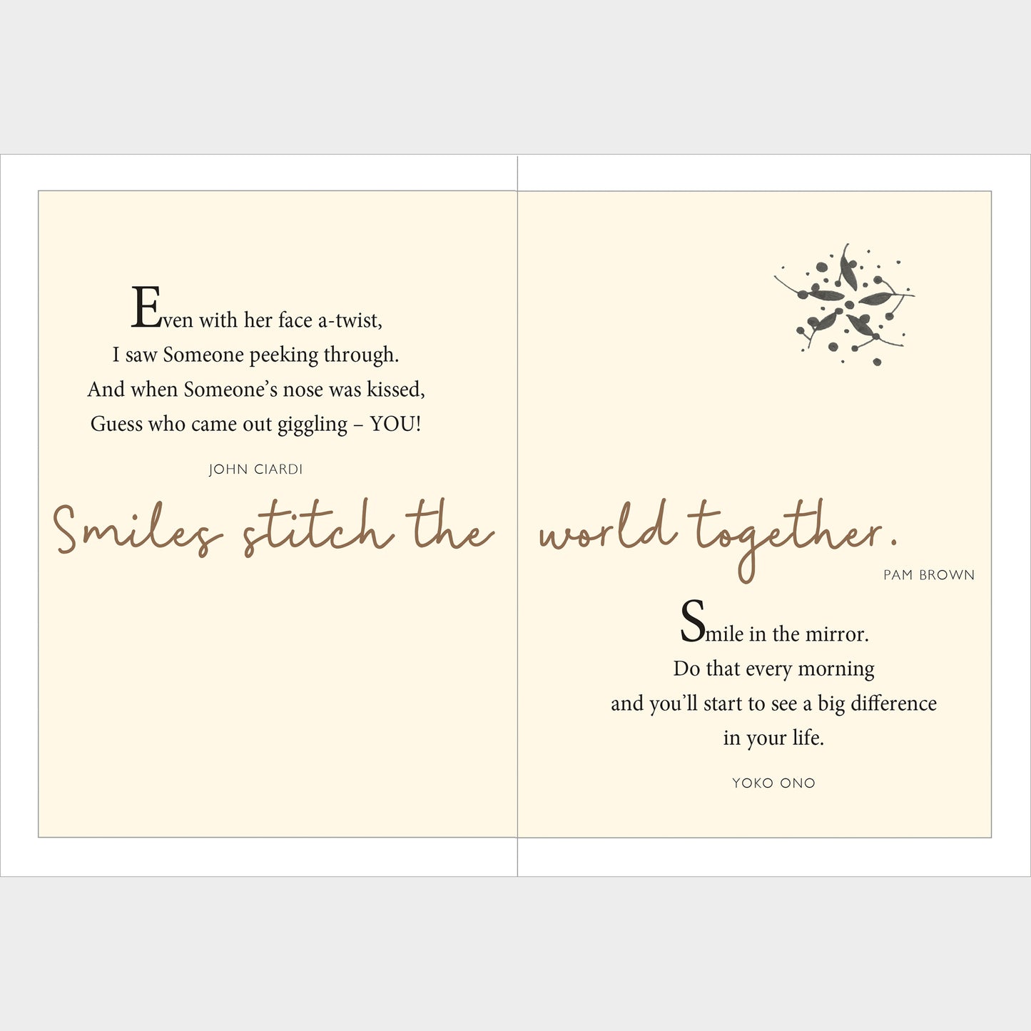 The Little Book of Smiles