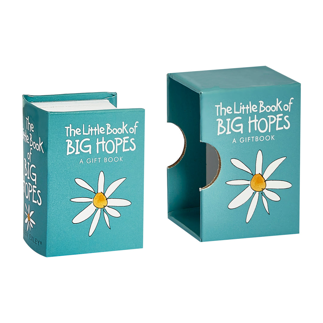 The Little Book of Big Hopes