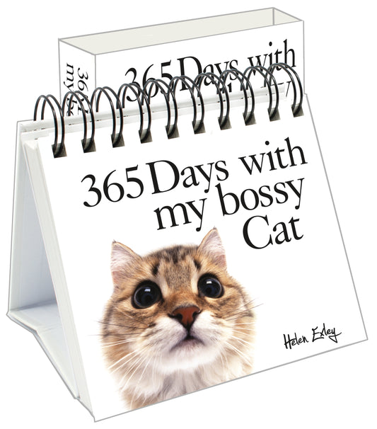 365 Days with my bossy Cat