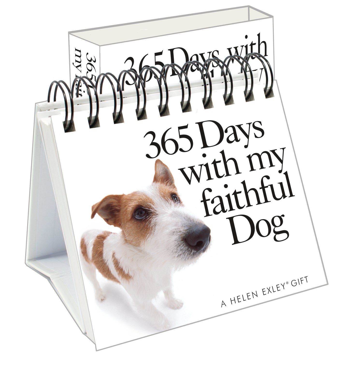 365 Days with my Faithful Dog