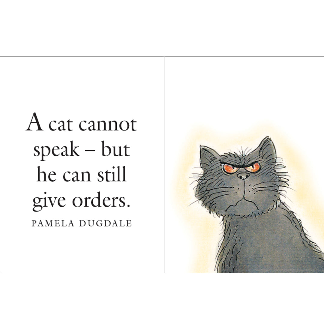Your Cat The Boss